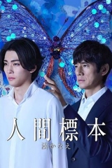 人类标本